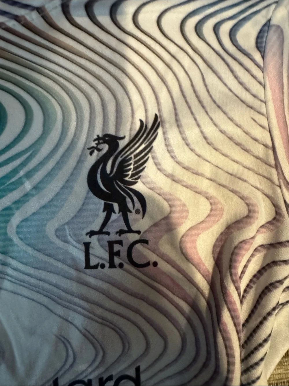 Nike Kids' Liverpool FC Multicolor Training Jersey Size 20